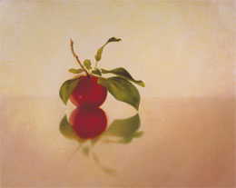 fine art paintings for sale - still life oil painting "apple on cherry" by leah kristin dahlgren
